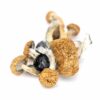 B+ Cubensis Mushroom