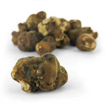 psilocybe mexicana truffles