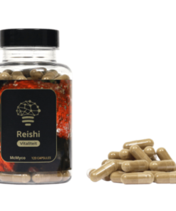 Best red reishi mushroom extract